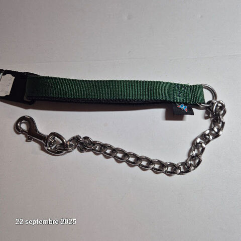 Laisse neuve, en chaîne solide avec nylon de 60 cm pour chie 8.5 Saumur (49)