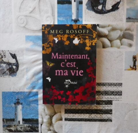 MAINTENANT, C'EST MA VIE de Meg ROSOFF Ed. WIZ Albin Michel 4 Bubry (56)