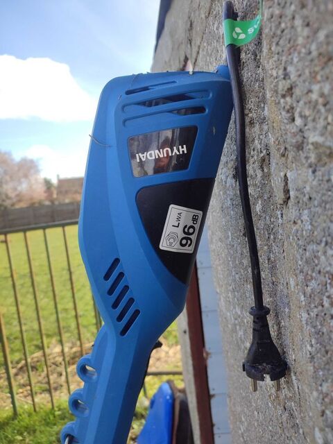 a+vendre+d�broussailleuse+Neuf 100 Jargeau (45)