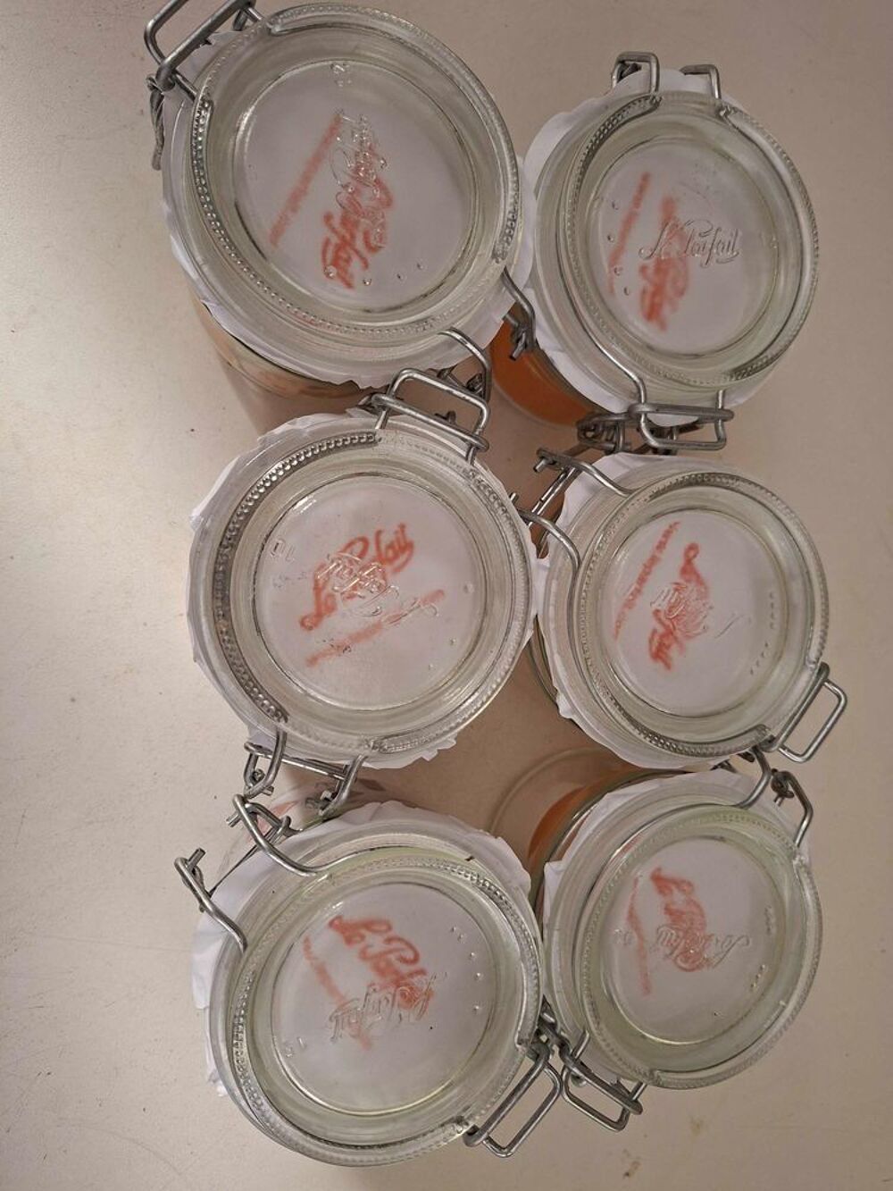 6 bocaux LE PARFAIT neufs Electroménager
