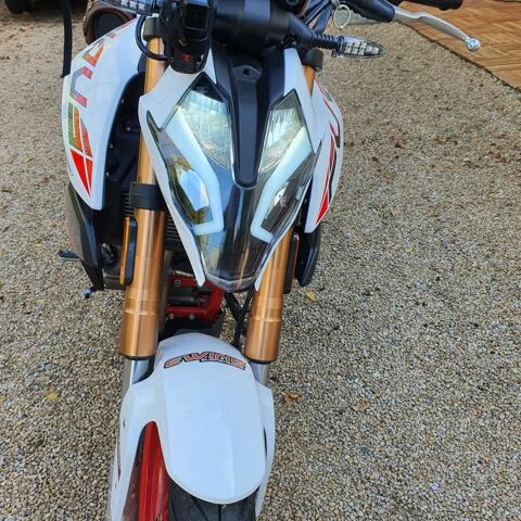 Moto MASAI 2025 occasion Rouffiac 81150