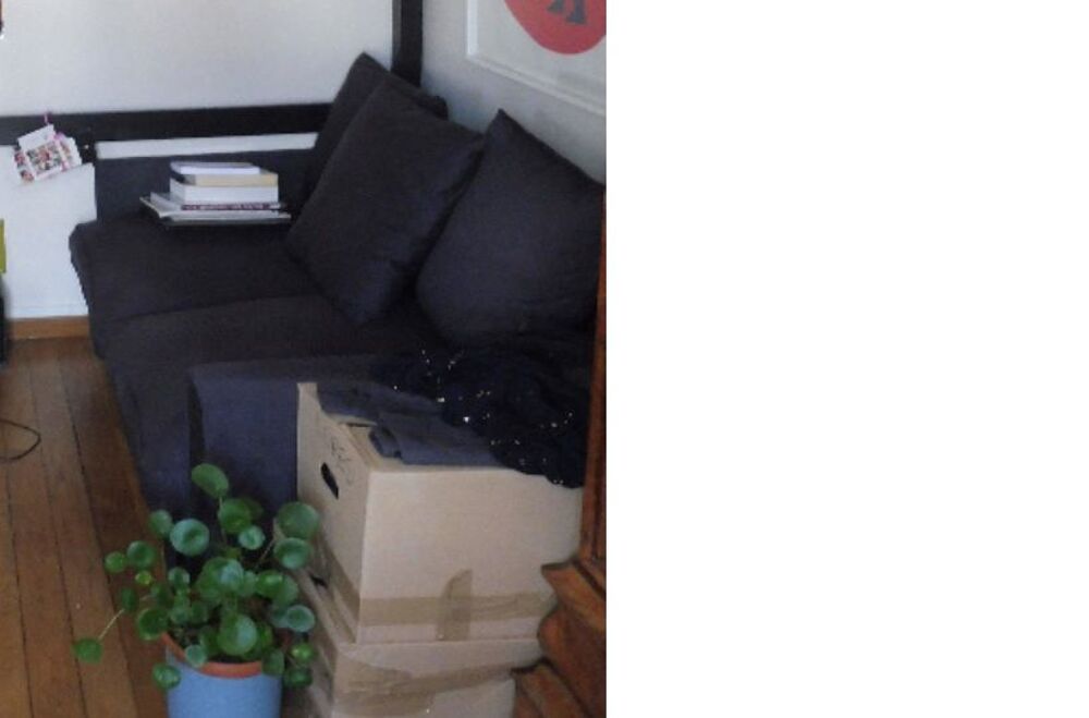 Canap&eacute; 2 places convertible gris fonc&eacute; Ikea mod&egrave;le Harnosand Meubles