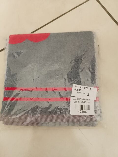 2 ESSUIE MAINS 10 Gleiz� (69)