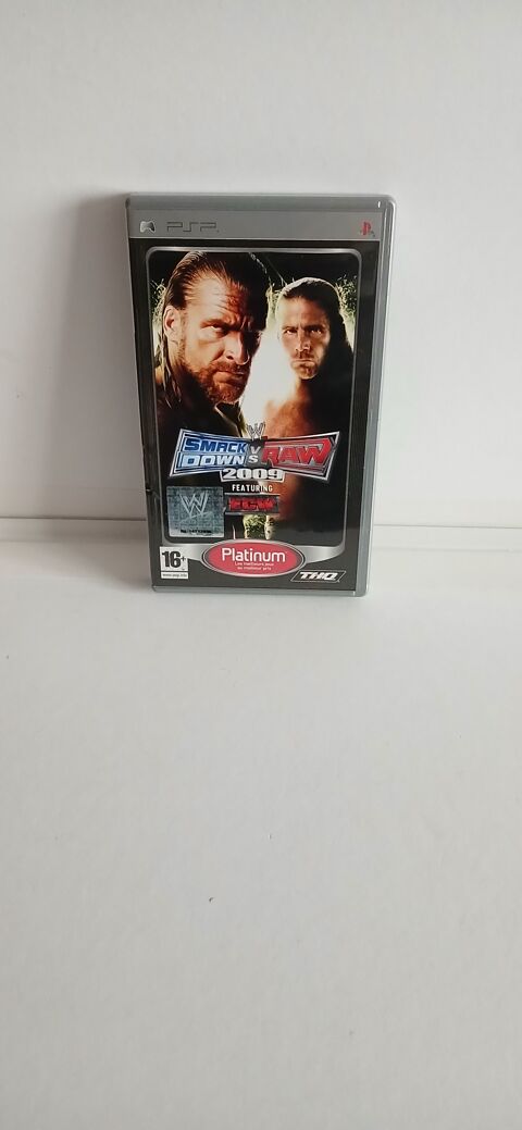 SMACK DOWN VS RAW 5 Isigny-sur-Mer (14)