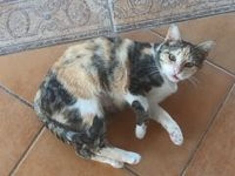   CLOE 