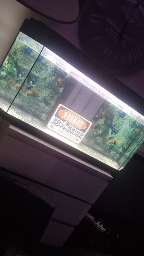 Aquarium 350l tr&egrave;s bon etat 350 85300 Challans