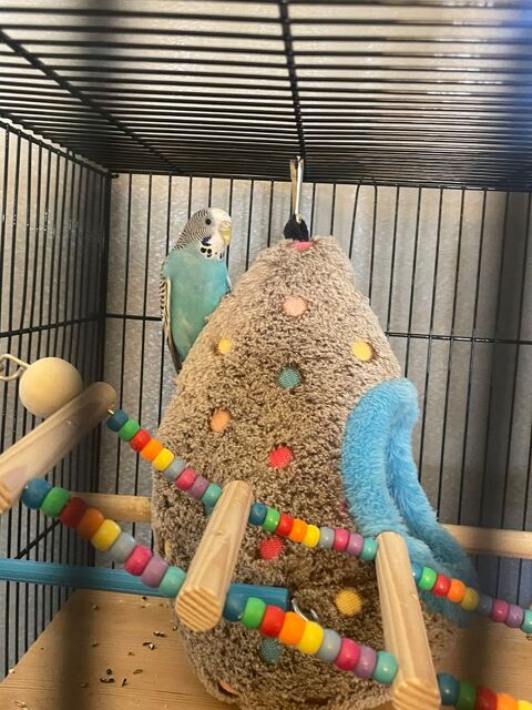 Perruche 5 27500 Pont-audemer