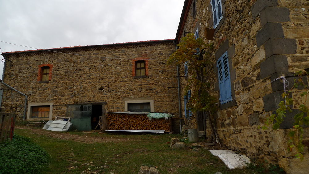 Vente Propriété/Château DEMEURE XIXeme 300 m² + 1000 m² DependancesTerrain 15000 M² Clermont-ferrand