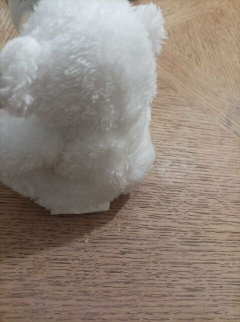 peluche ours 10 Beauvais (60)