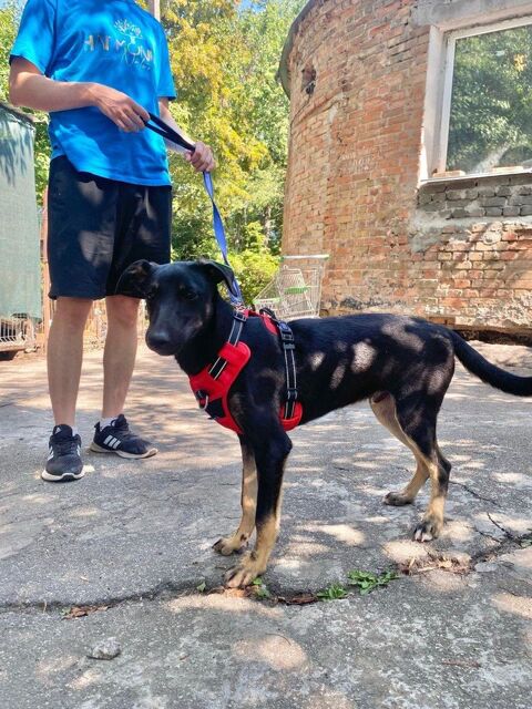 PATRON 0 75018 Paris