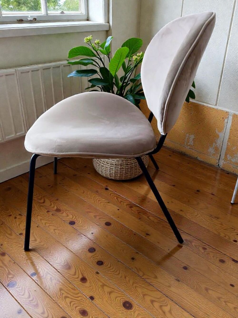Fauteuil velours beige Meubles
