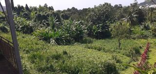  Terrain  vendre 2903 m