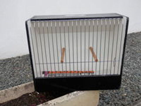  cages pour oiseaux 