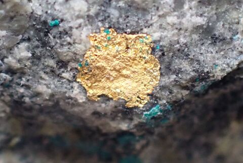 Or natif & Atacamite , La Compagniã Mine Sierra Gorda Chili 75 Bertrichamps (54)