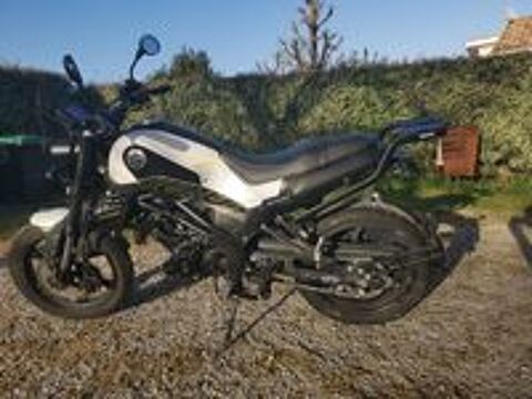 BENELLI 2024 occasion 33380 Biganos