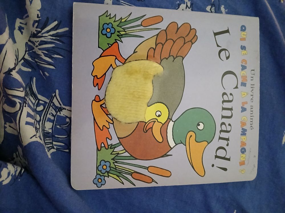LIVRE LE CANARD
QUI SE CACHE A LA CAMPAGNE ?
Livres et BD