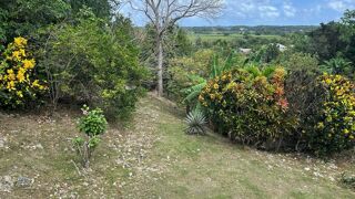 Location  Appartement 