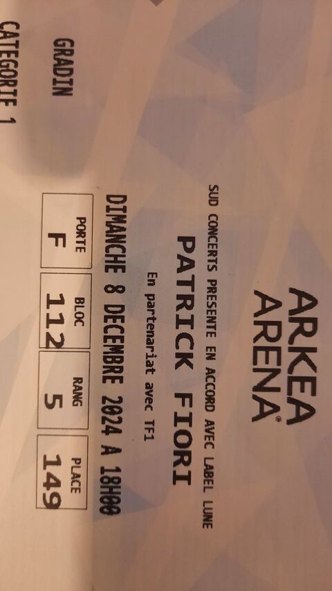 Place Concert Patrick Fiori Arena Floirac 45 Floirac (33)