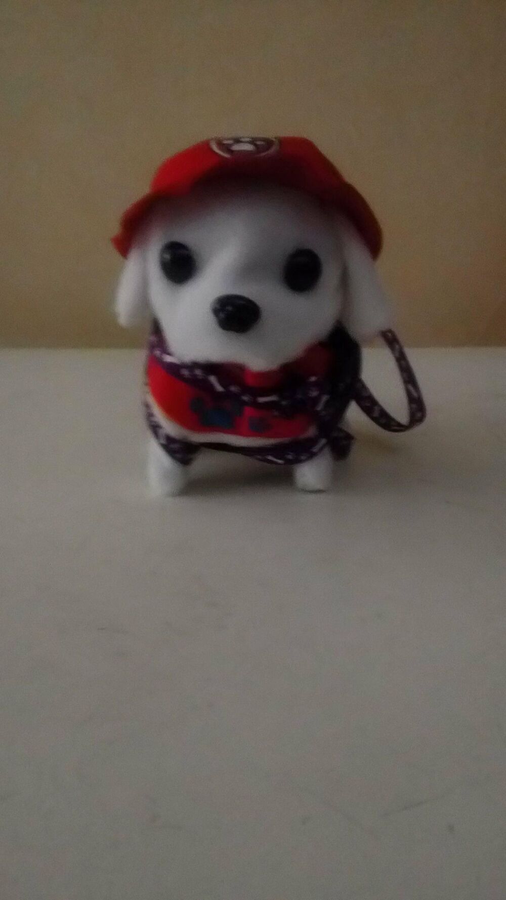petit chien Jeux / jouets
