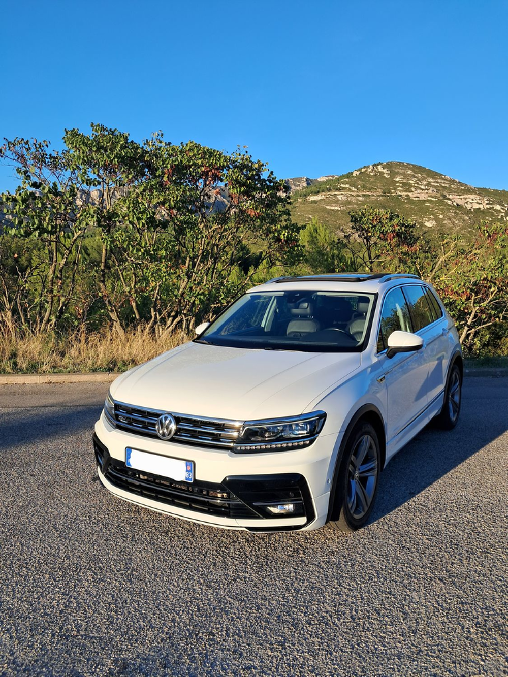 Tiguan 2.0 TDI 150 DSG7 Carat Exclusive 2018 occasion 13009 Marseille