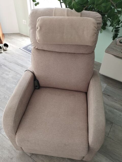Fauteuil releveur olive marron clair Sainte-Foy (85)