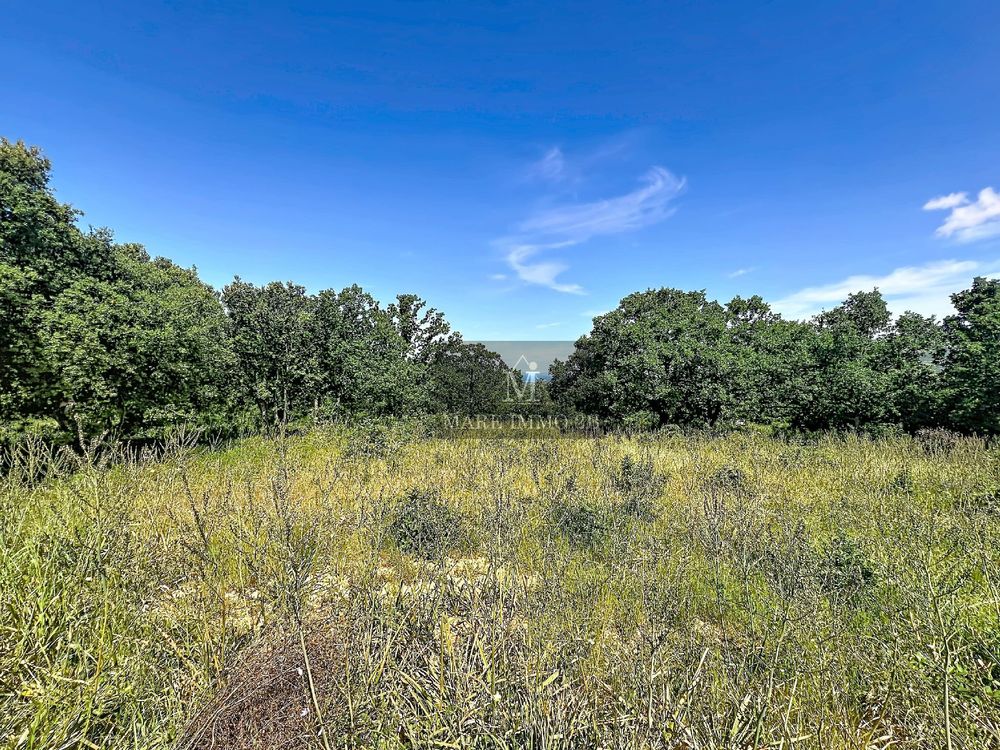Vente Terrain Opportunité :Terrain Calenzana Calvi