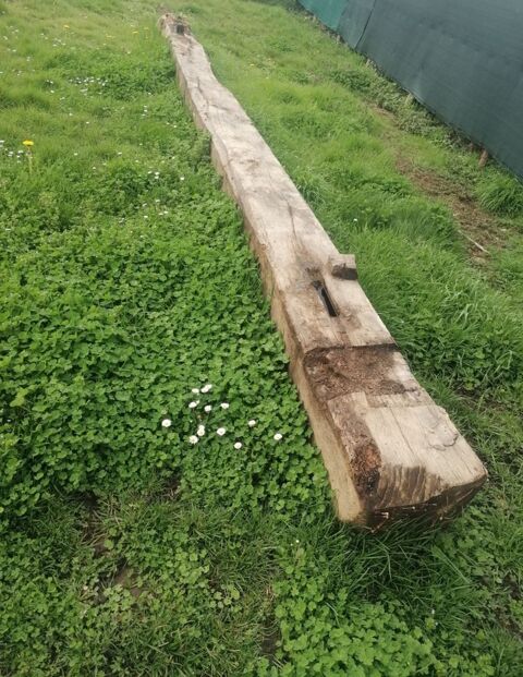 Poutre chne plus de 6 mtre 300 Riaill (44)