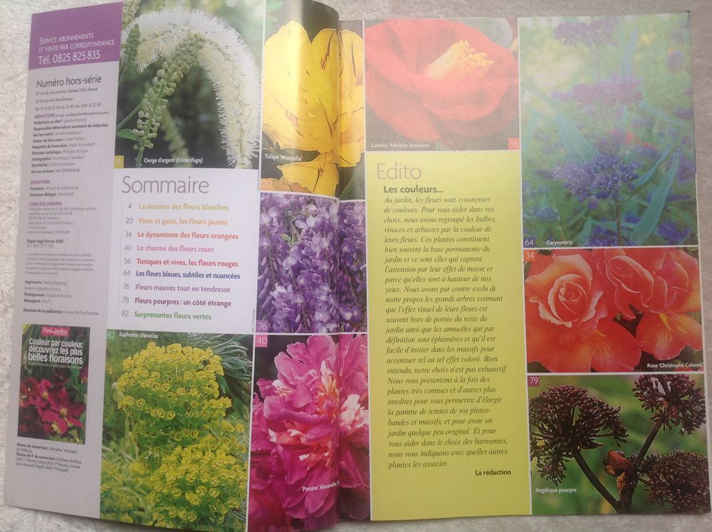 LES + BELLES FLEURS COULEUR PAR COULEUR Jardin