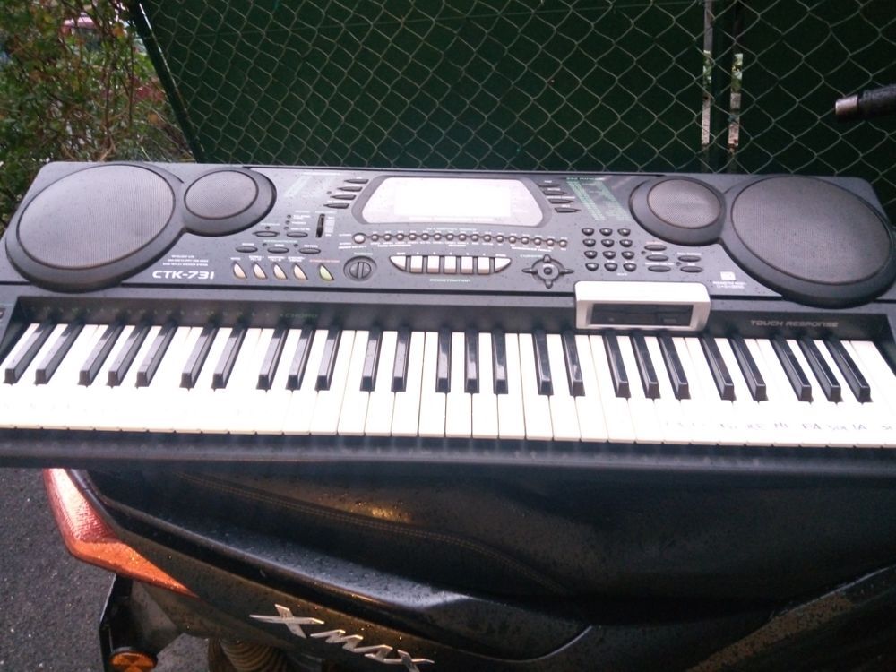 Piano Elettronique Casio Instruments de musique