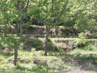  Terrain � vendre 875 m�