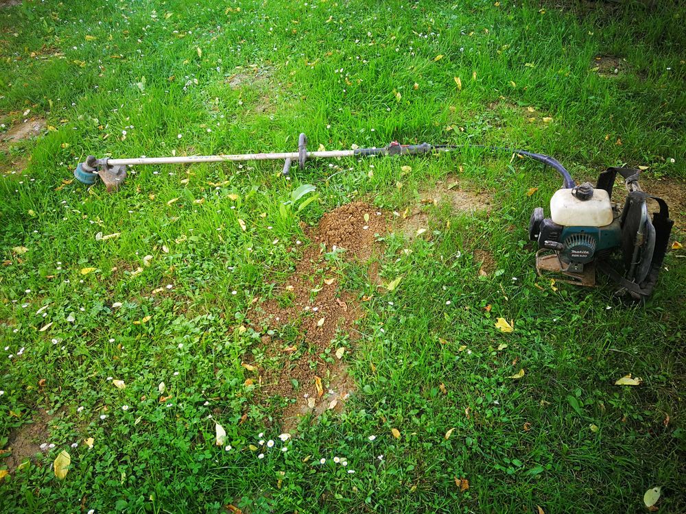 D&eacute;broussailleuse Jardin