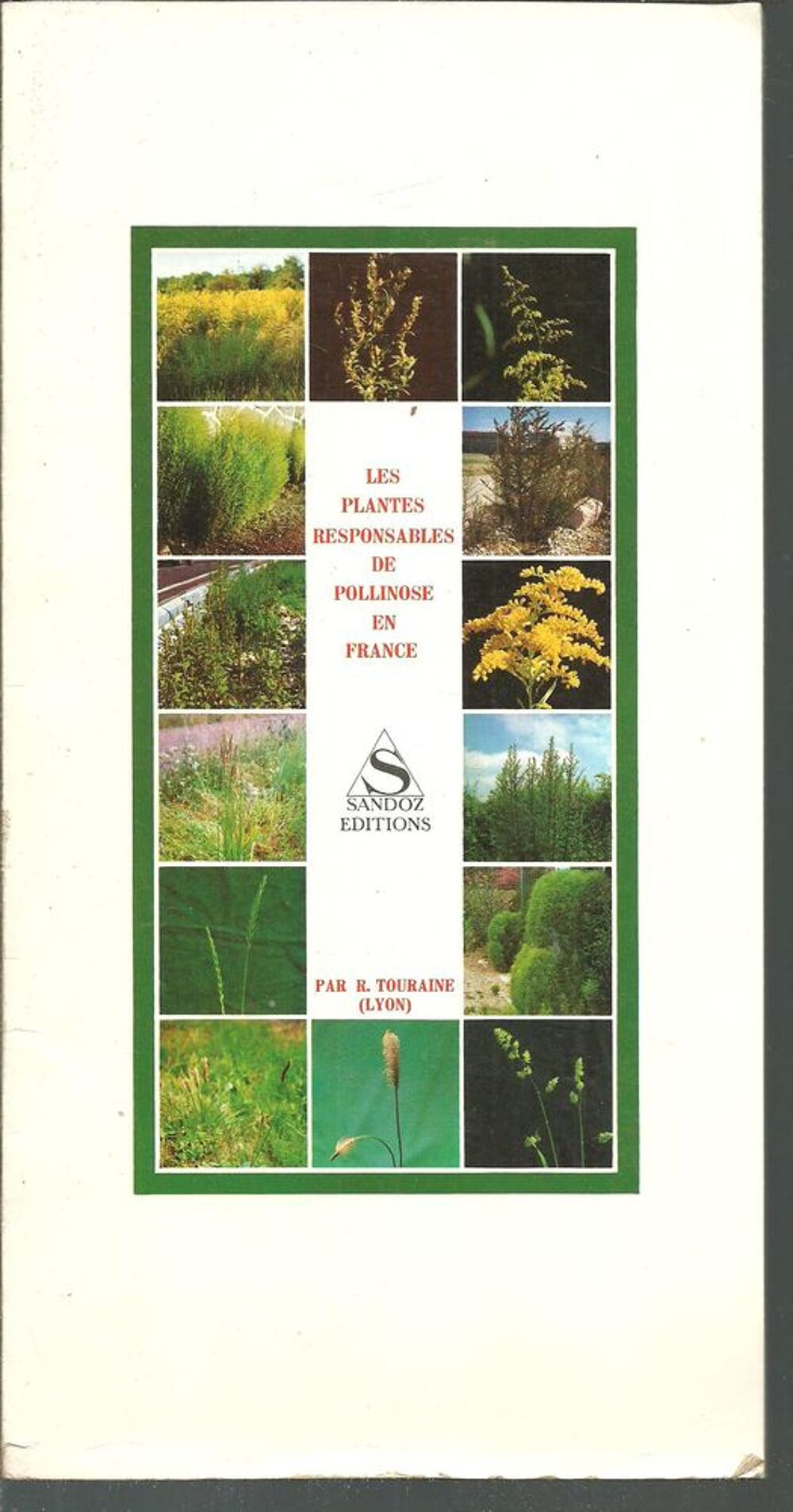 R TOURAINE Les plantes responsables de pollinose en France Livres et BD