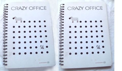 2 carnets Crazy office A4 �paisseur 16 mm, couverture rigide 14 Villeurbanne (69)