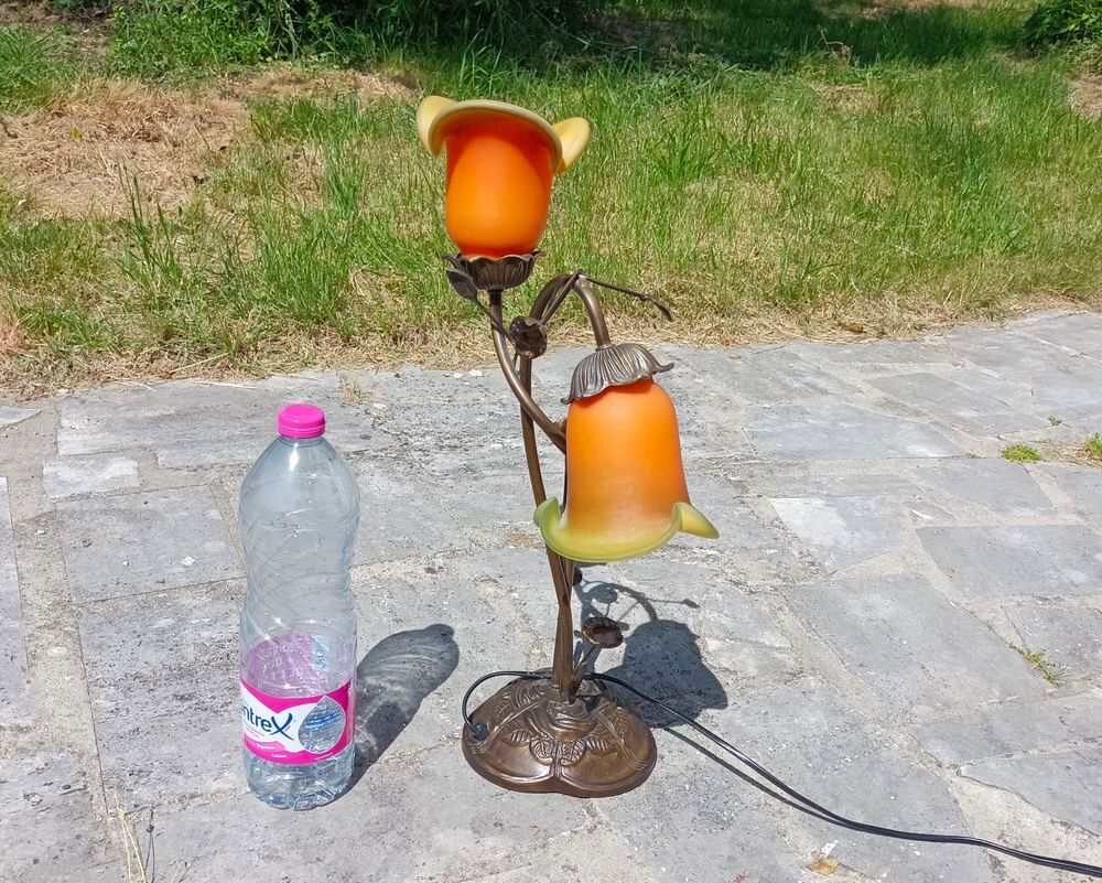 Lampe Tulipe duo sign&eacute;e Décoration