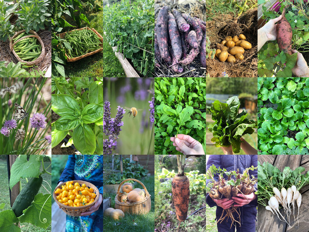 Mon Potager au Naturel Jardin