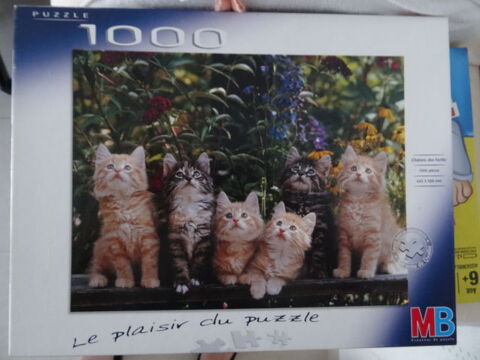 Puzzle 1000 pices Chats 7 Saint-Yrieix-sur-Charente (16)