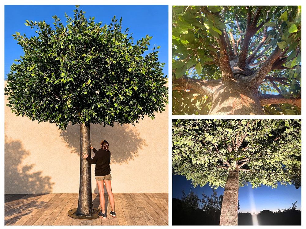 FICUS VERT ARTIFICIEL 4,50 M ? D&Eacute;STOCKAGE Décoration