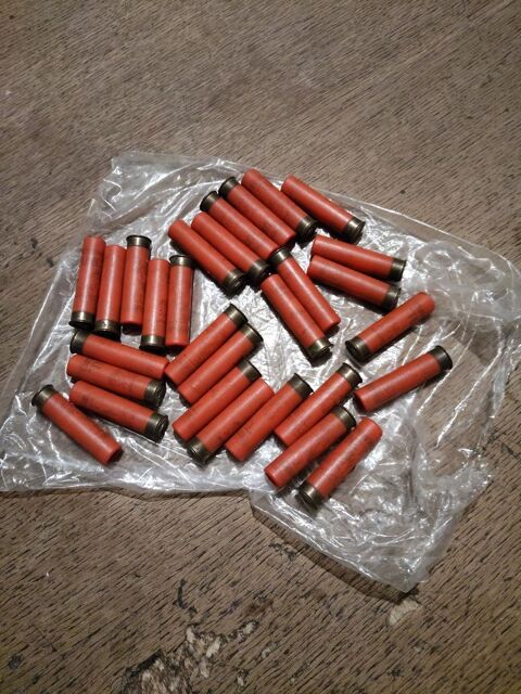 cartouche plomb 14mm n8 et n6 10� le tout 10 Conchil-le-Temple (62)