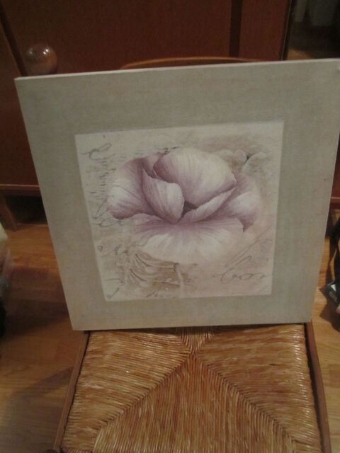 tr�s joli cadre ou peinture sur toile  et autre   0 M�rignies (59)