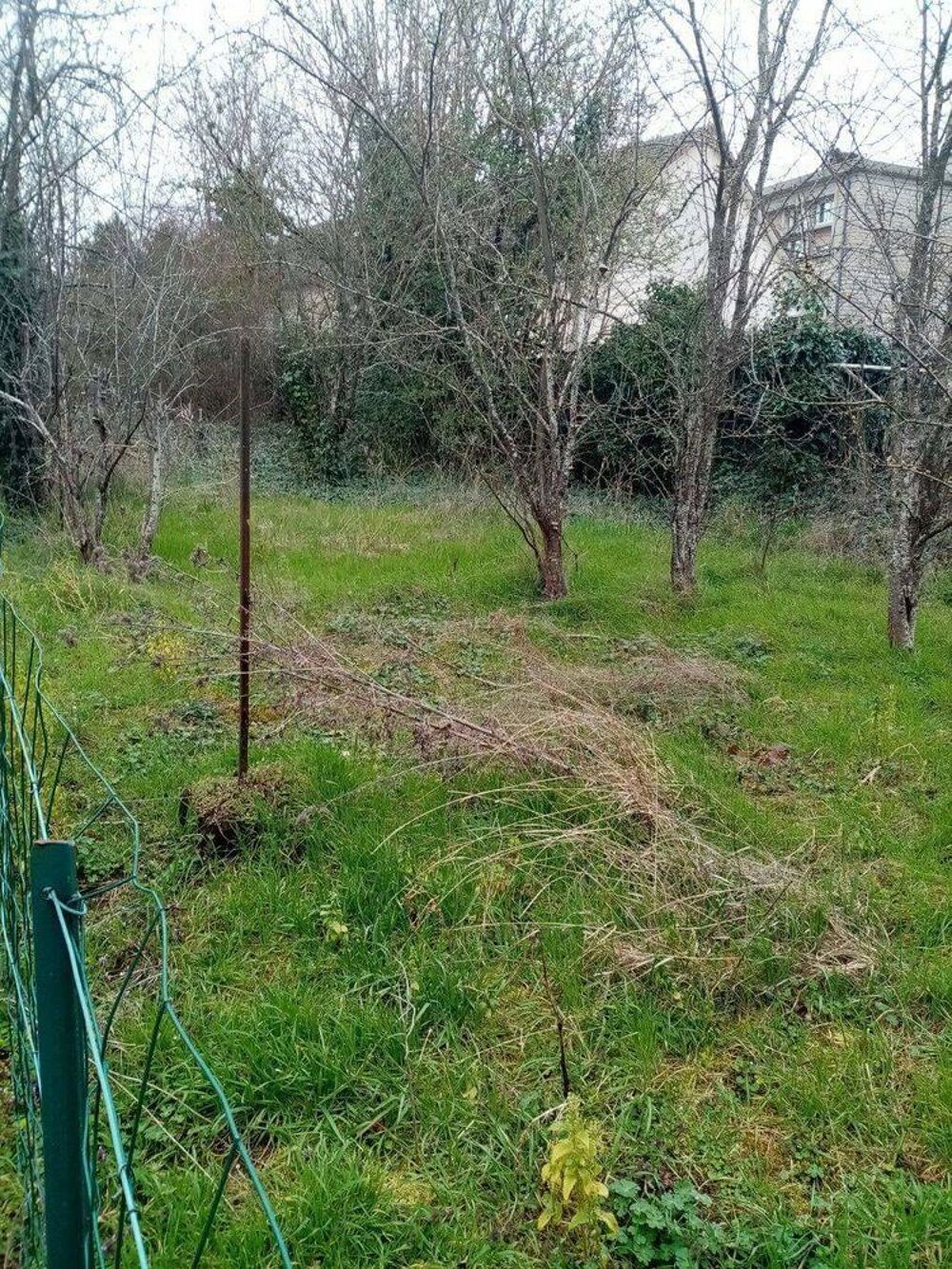 jardin 200m2 Jardin