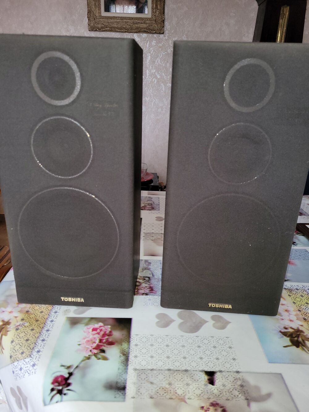 2 Baffes TOSHIBA Audio et hifi