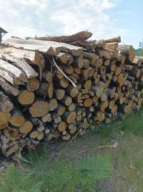 Bois chauffage Sainte-Hélène (33)