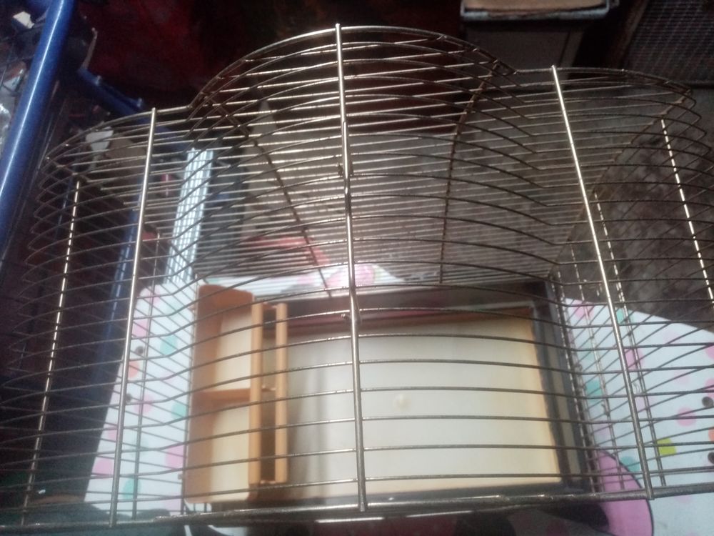   Cage mordorée 
