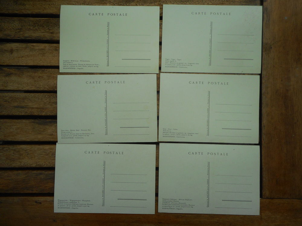 Lot de 9 cartes postales Paul Barruel "Mammif&egrave;res" 