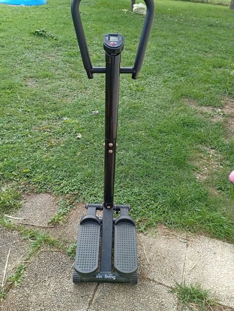 Vlo d'appartement et/ou stepper 30 Longchamp-sur-Aujon (10)