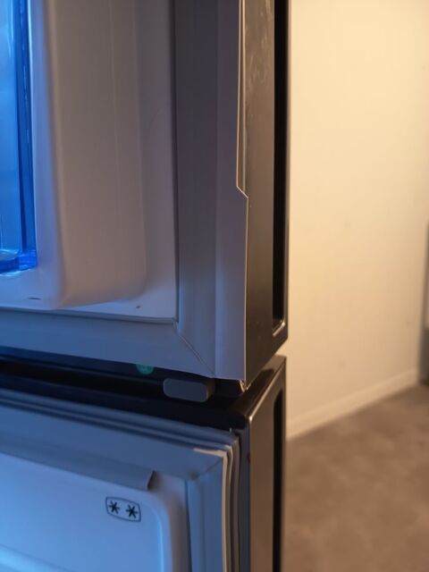 Frigot americain  Gris 200 Dijon (21)