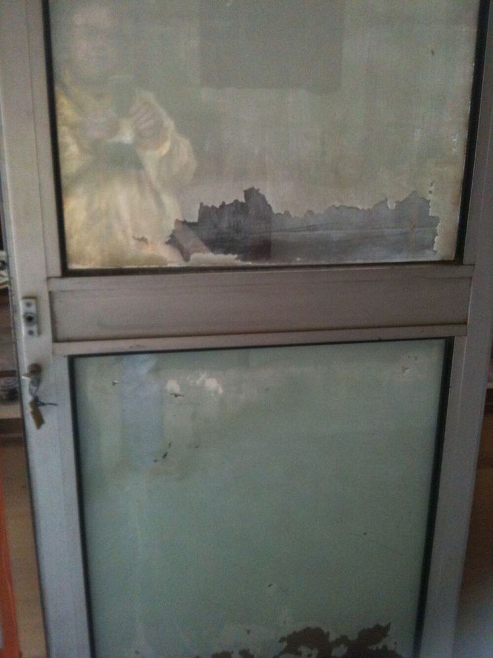 Porte d'entr&eacute;e aluminium
205cm x 80cm Bricolage