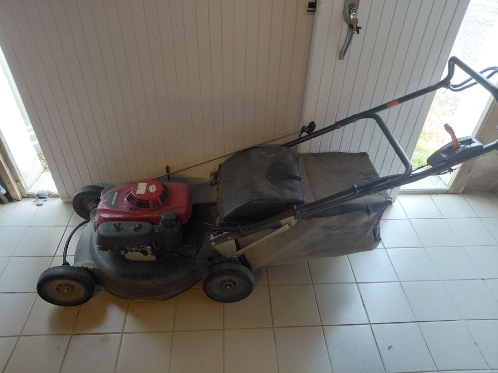 Tondeuse de professionnel Jardin
