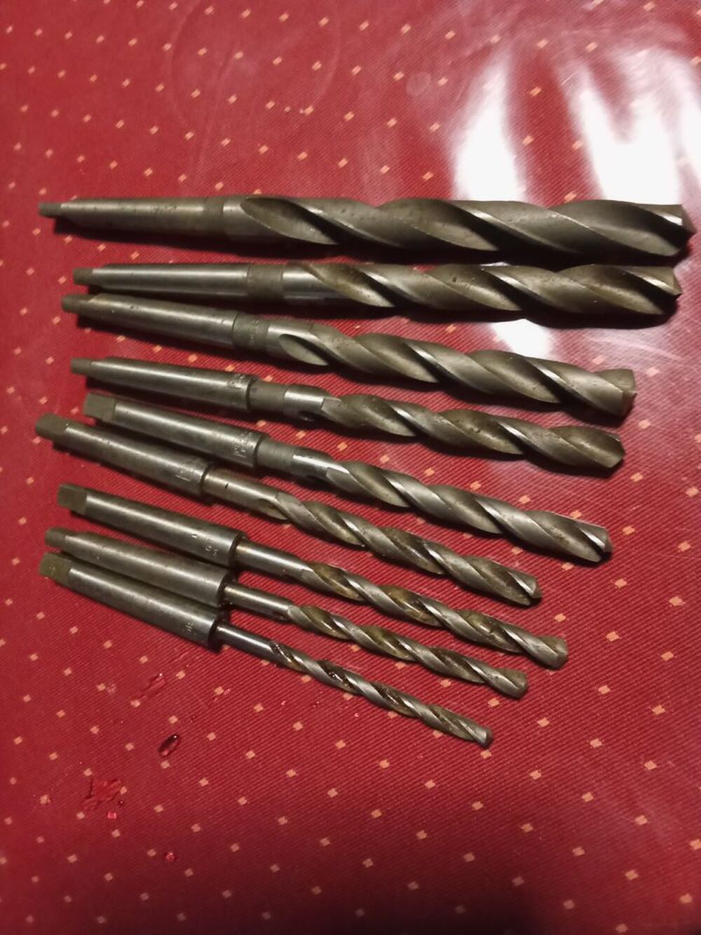 9 For&ecirc;ts coniques Bricolage