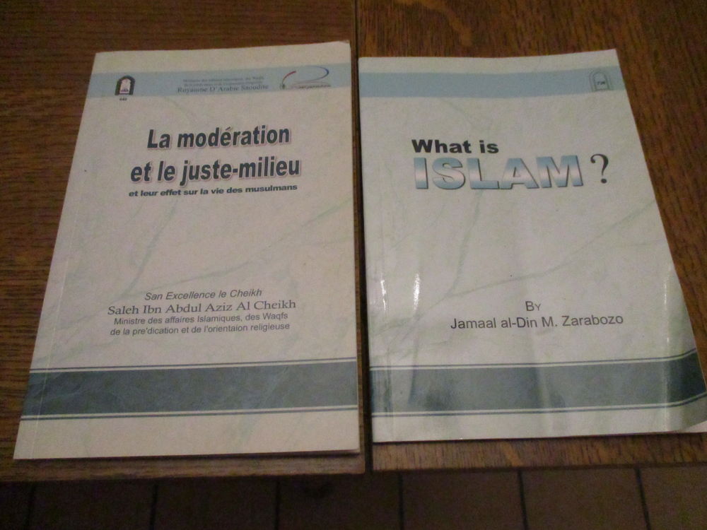 What is ISLAM ? et la mod&eacute;ration et le juste-milieu Livres et BD
